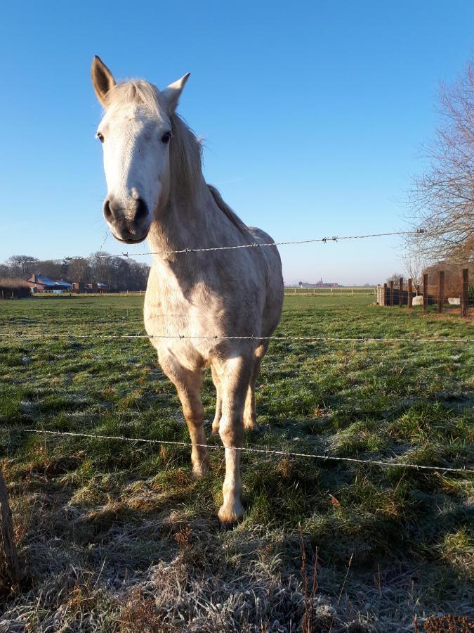 La Petite Juliette Villa Leuze-en-Hainaut Bagian luar foto